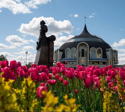 Тула.  Тульская область. из Рязани